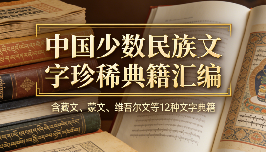 中国少数民族文字珍稀典籍汇编合集 pdf [1.4GB]